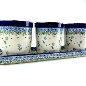 290  Bunzlau planten- cactus - kruidenpotjes op schaal 2644X - 290 (Bunzlau). 290  Bunzlau planten- cactus - kruidenpotjes op schaal 2644X schaal met drie potjes met een gaatje erin Mooie aanwinst voor in de keuken.