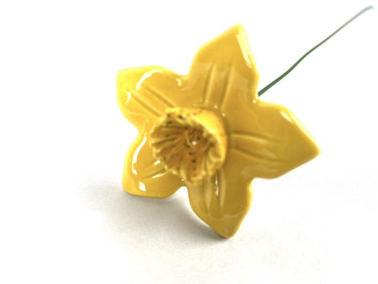 Bunzlau Narcis geel - Afbeelding 2