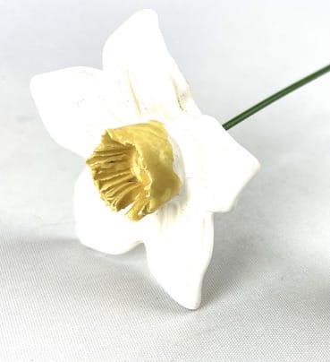 Bunzlau Narcis Wit - Afbeelding 2