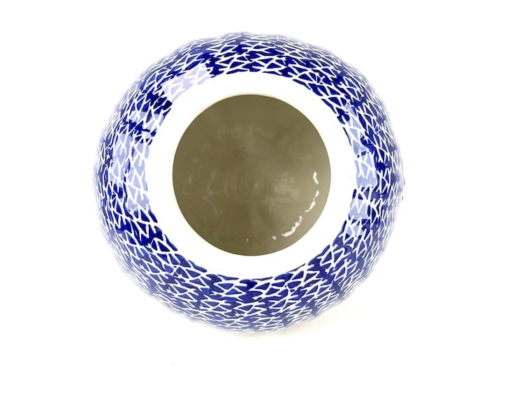 Bunzlau pompoen XXX8 - Afbeelding 2